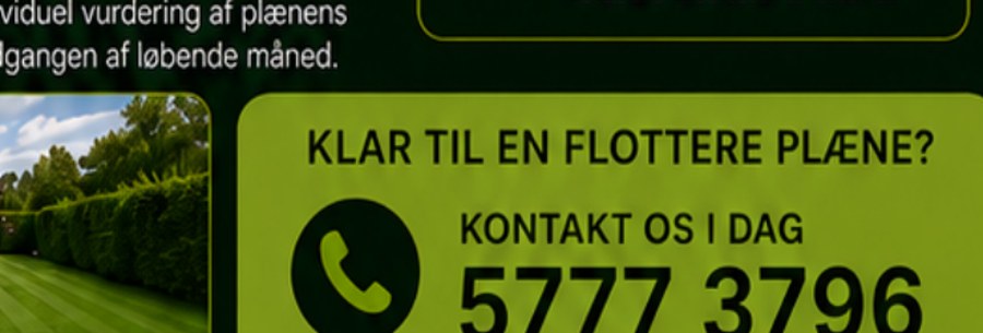 Plæne efter renovering