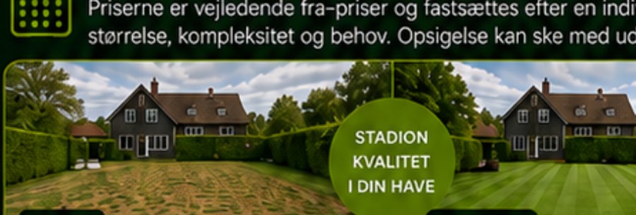 Plæne før renovering